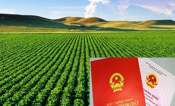 Vay thế chấp đất nông nghiệp là gì?