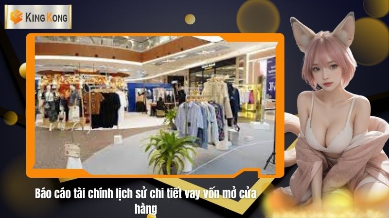 Bao cao tai chinh lich su chi tiet vay von mo cua hang