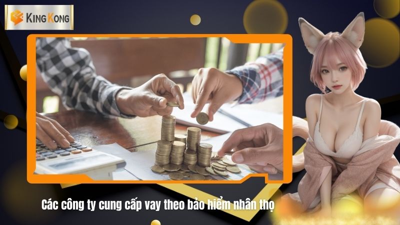 Cac cong ty cung cap vay theo bao hiem nhan tho