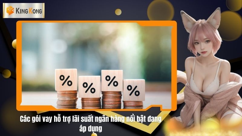 Cac goi vay ho tro lai suat ngan hang noi bat dang ap dung