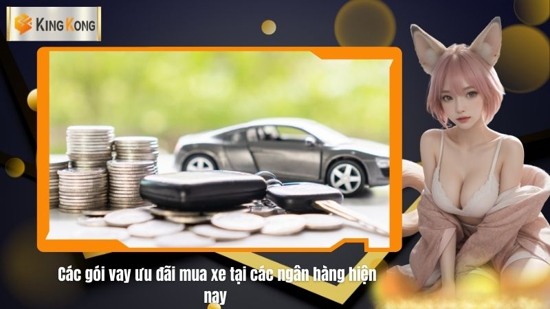 Cac goi vay uu dai mua xe tai cac ngan hang hien nay