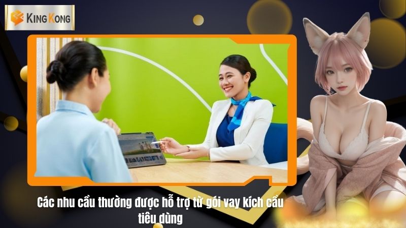 Cac nhu cau thuong duoc ho tro tu goi vay kich cau tieu dung