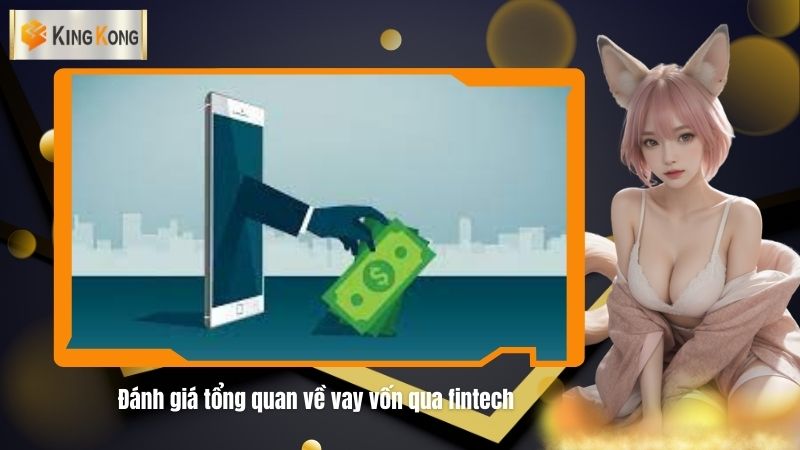 Danh gia tong quan ve vay von qua fintech