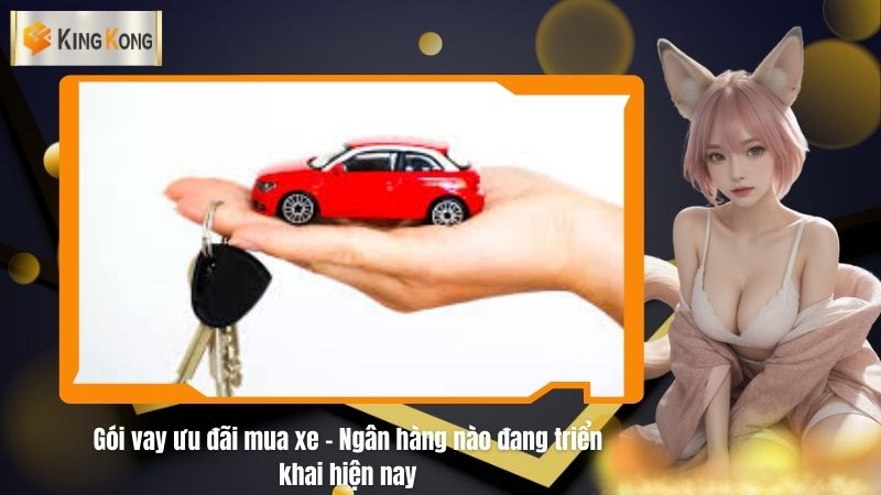 Gói vay ưu đãi mua xe - Ngân hàng nào đang triển khai hiện nay