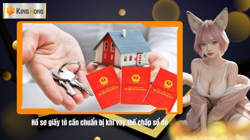 Ho so giay to can chuan bi khi vay the chap so do