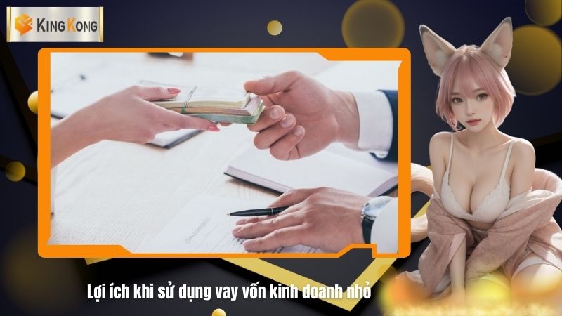 Loi ich khi su dung vay von kinh doanh nho