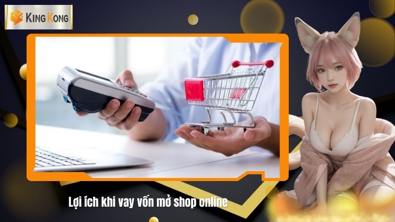 Loi ich khi vay von mo shop online