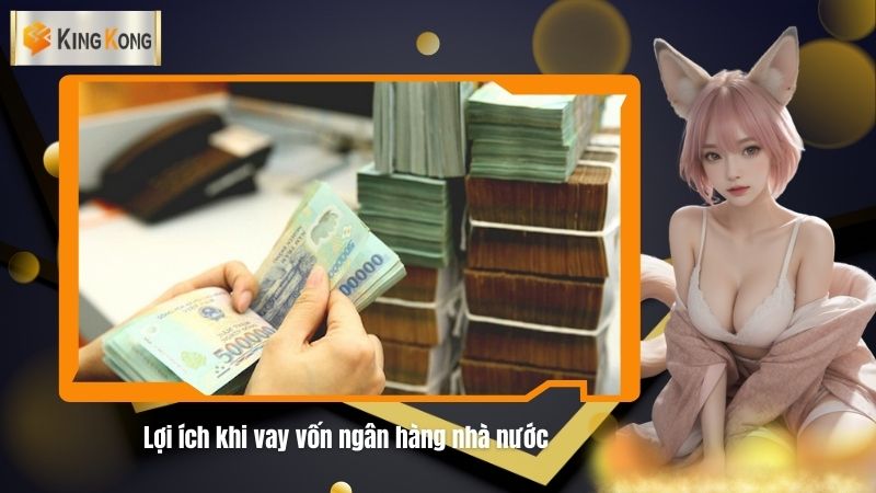 Loi ich khi vay von ngan hang nha nuoc