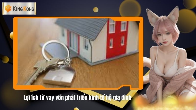 Loi ich tu vay von phat trien kinh te ho gia dinh