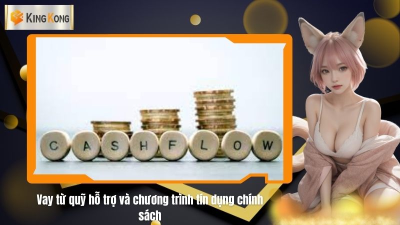 Vay tu quy ho tro va chuong trinh tin dung chinh sach