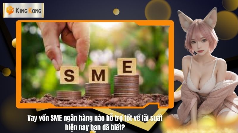 Vay vốn SME ngân hàng nào hỗ trợ tốt về lãi suất hiện nay bạn đã biết?