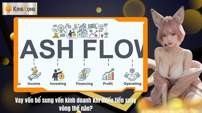 Vay vốn bổ sung vốn kinh doanh khi thiếu tiền xoay vòng thế nào?