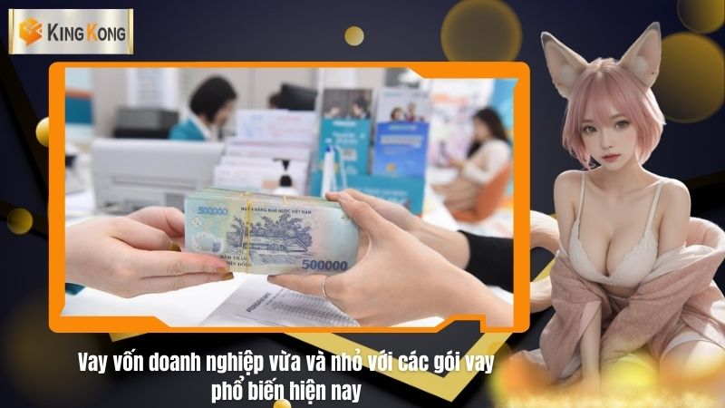 Vay vốn doanh nghiệp vừa và nhỏ với các gói vay phổ biến hiện nay