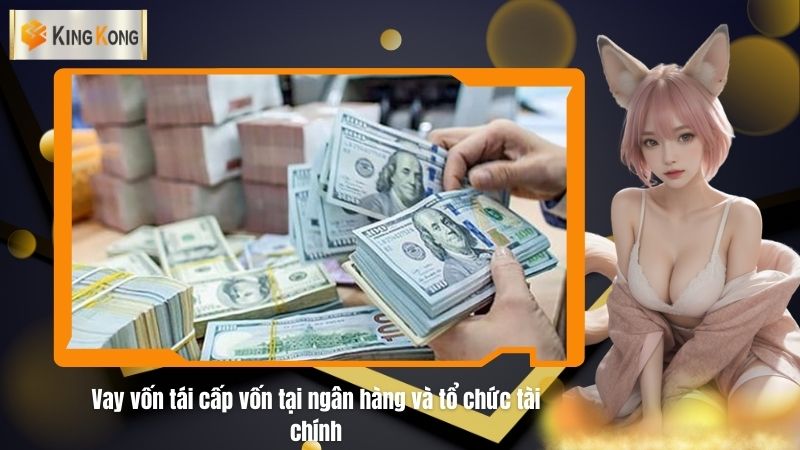 Vay von tai cap von tai ngan hang va to chuc tai chinh