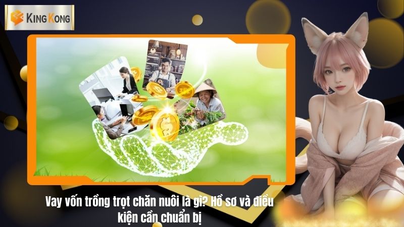 Vay von trong trot chan nuoi