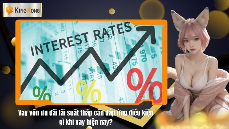 Vay vốn ưu đãi lãi suất thấp cần đáp ứng điều kiện gì khi vay hiện nay?